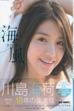 苏慧伦